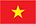 Vietnamese icon